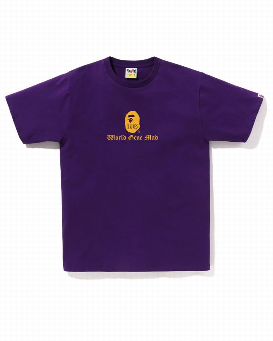 Bape A Bathing Ape Logo Tricko Panske Nachový | SK-9821