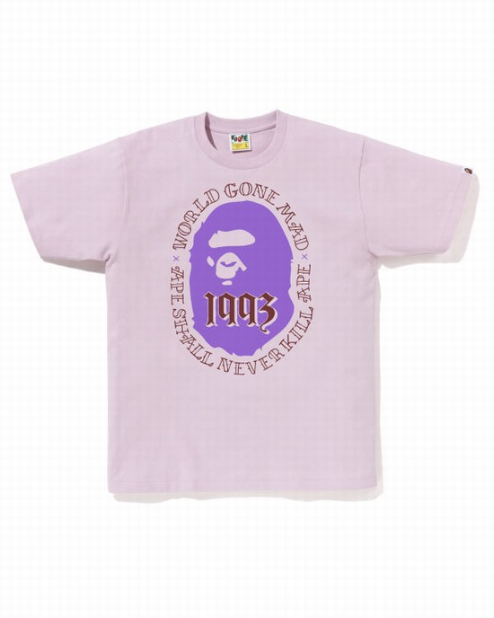 Bape Ape Head 1993 Tricko Panske Nachový | SK-4769