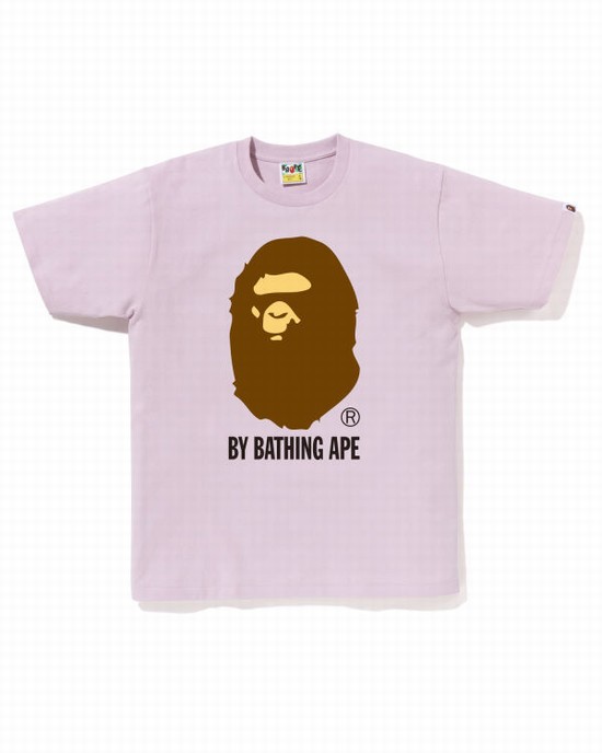 Bape By Bathing Ape Tricko Panske Nachový | SK-2986