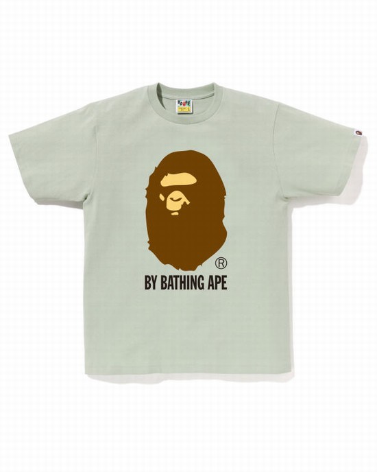 Bape By Bathing Ape Tricko Panske Zelene | SK-4659