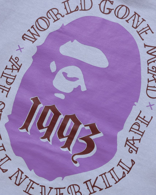 Bape Ape Head Pullover Mikiny S Kapucňou Panske Svetlo Modre | SK-5923
