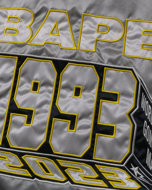Bape Nylon Varsity Bundy Panske Strieborne | SK-9834
